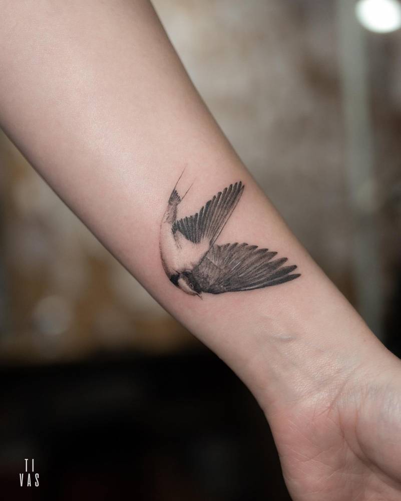 Tatuaje de Golondrina ¡Descubre su significado! [2023]