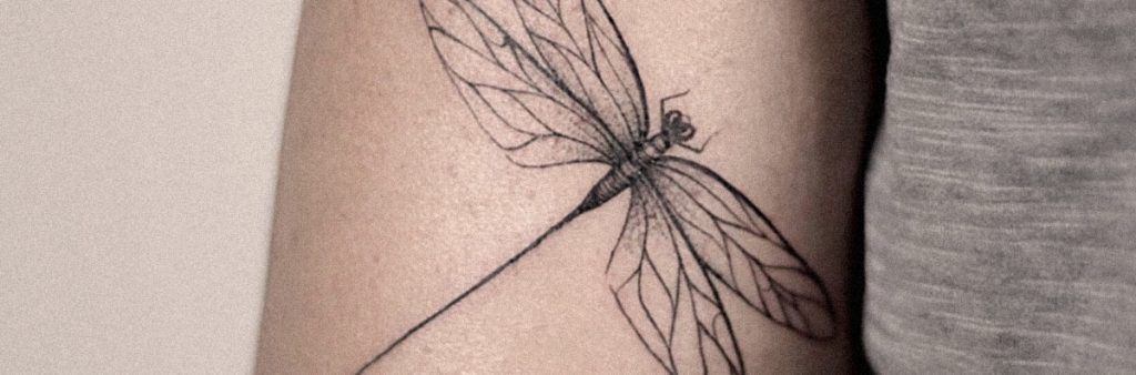 Tatuaje de Libélula ¿Significado? Características e ideas [2023]